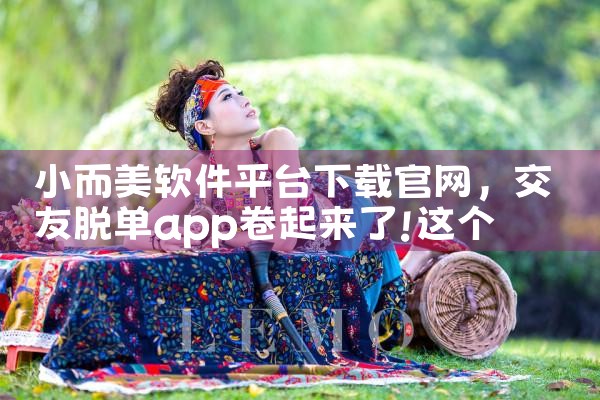 小而美软件平台下载官网