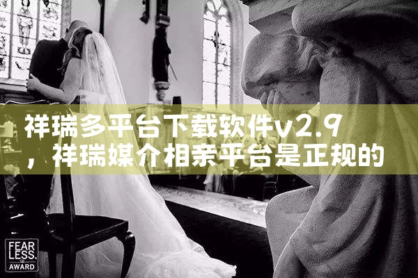 祥瑞多平台下载软件v2.9