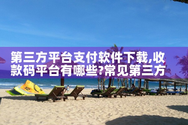 第三方平台支付软件下载
