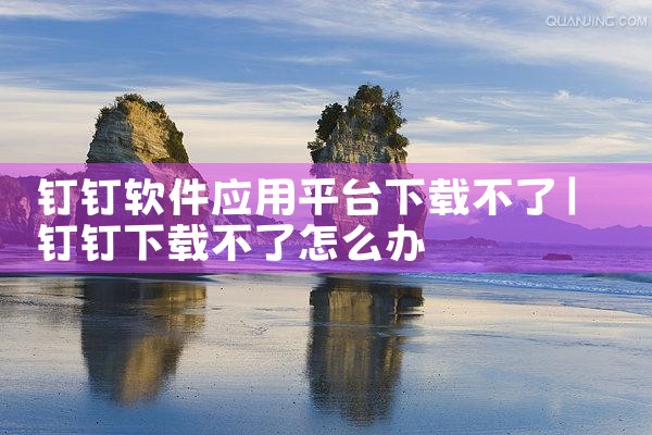 钉钉软件应用平台下载不了