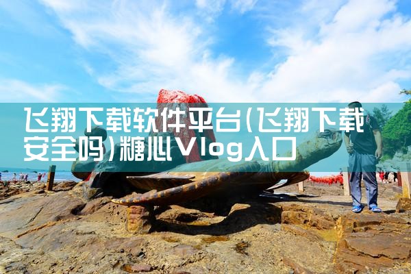 飞翔下载软件平台|糖心Vlog入口