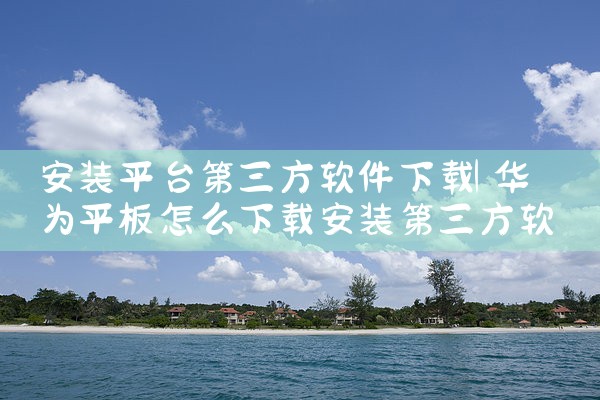 安装平台第三方软件下载